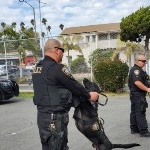 IPD K9 Visit