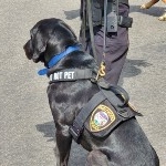 IPD K9 Visit