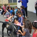 IPD K9 Visit