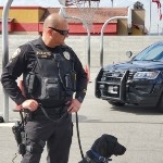 IPD K9 Visit