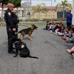 IPD K9 Visit