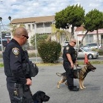 IPD K9 Visit