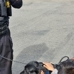 IPD K9 Visit