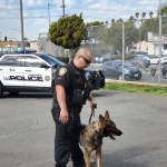 IPD K9 Visit