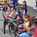 IPD K9 Visit